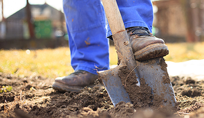 Introducing Jiva’s New Course: Damage Prevention Foundations